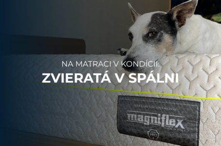 Na matraci v kondícii: Je dobrý nápad, aby s nami spali miláčikovia v posteli?